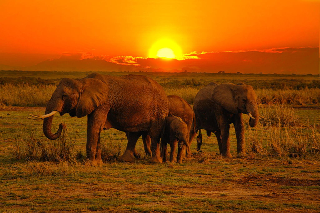 Best time to visit world