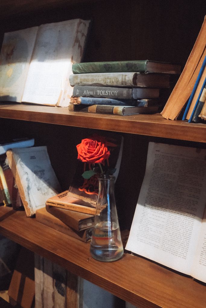 travel books
