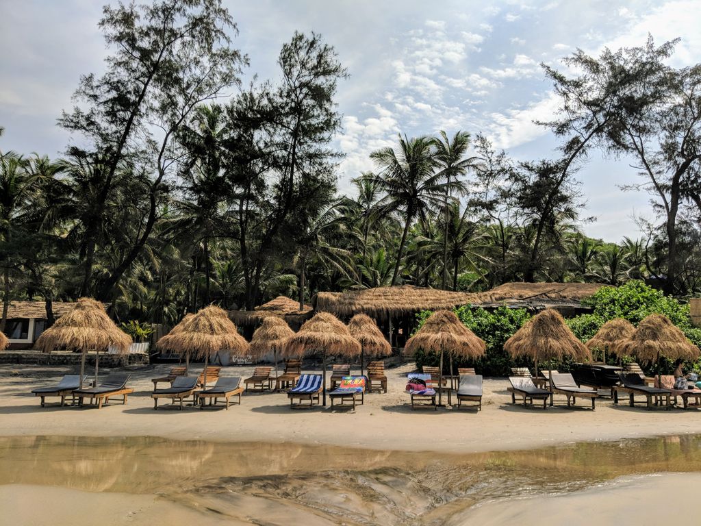Nipa huts and palm trees in Goa